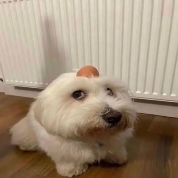fortnitefan160
